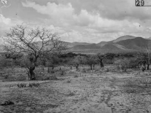 Landschaft : Blick über eine Ebene auf die bergige Landschaft