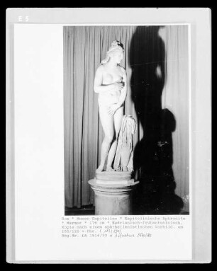 Kapitolinische Aphrodite