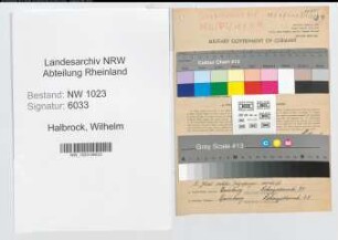 Entnazifizierung Wilhelm Halbrock , geb. 19.10.1885 (Ingenieur)