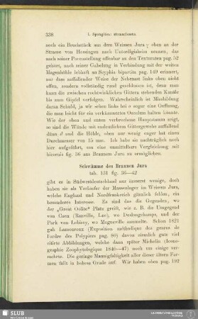 Schwämme des Braunen Jura