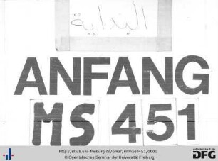MF Mau 451