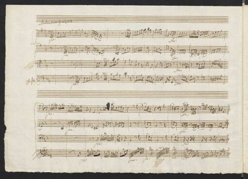 [2.] Andantino grazioso