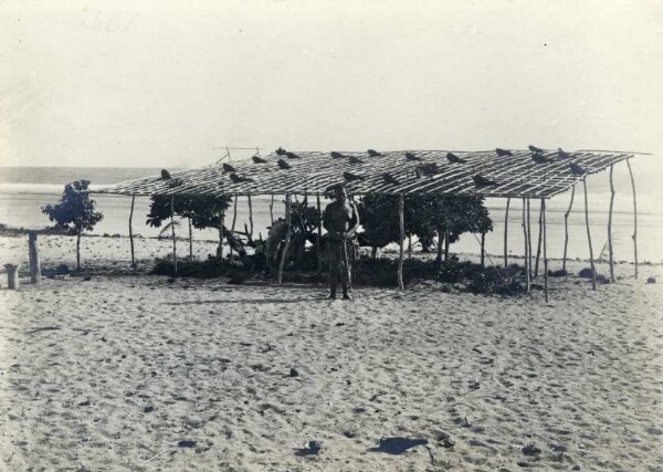 "Bird hut, Nauru"