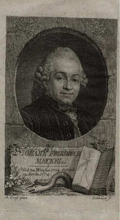 Johann Friedrich Meckel.