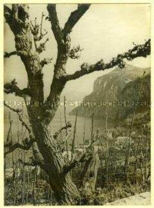 Ansicht aus Capri: Blick auf die Küste