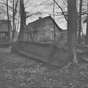 Strohgedecktes Blockhaus in Lehde mit Anlegerstelle. : Ze słomu kryta kładźita chěža w Lědach z přistawnišćom.