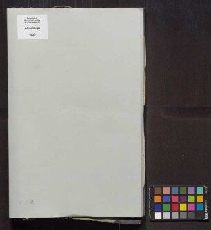 Organisation und Stärkenachweisungen: Stäbe: Infanterie, Pioniere, Artillerie, Train, Feldgendarmerie und Post