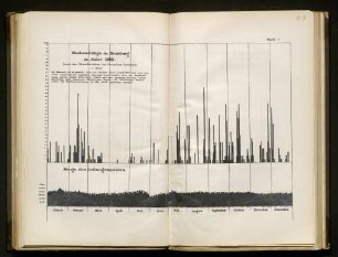 Niederschläge in Hamburg im Jahre 1893