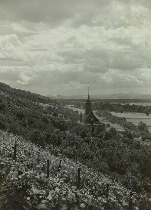 Dresden-Pillnitz. Blick vom Borsberghang über die Weinbergkirche ins Tal