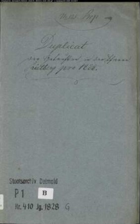 Kirchenbuchduplikat der katholischen Gemeinde Rietberg, Kreis Wiedenbrück (GHT 1828) (Gemeinde: Katholische Gemeinde Rietberg, Kreis Wiedenbrück)