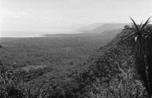 Küstenlinie : Blick über den Bergwald an der Küste des Mtu Mkavu
