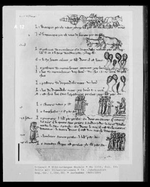 Ms 1175, fol. 14