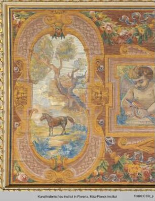 Deckendekoration des Salone Verde : Amor mit Pfeil sowie Tier auf einer Lichtung