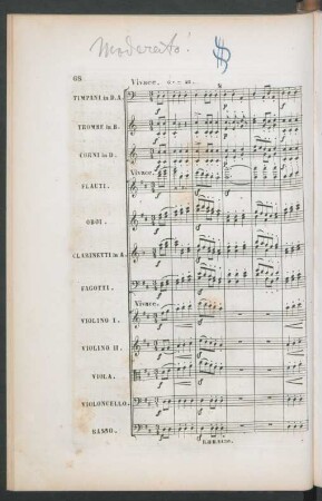 Vivace - Allegretto animato