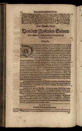 Das Fünffte Buch. Von den Musculen Beinen, und anderen eusserlichen Stücken deß Menschlichen Leibs.