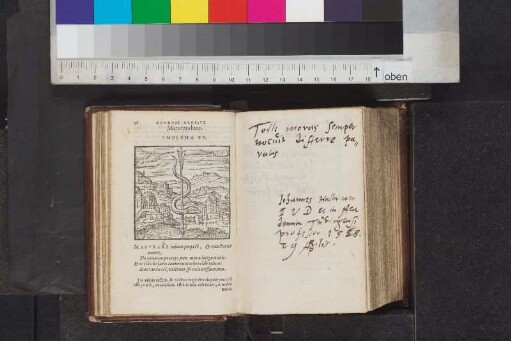 Halbritter, Johann; Blatt 58