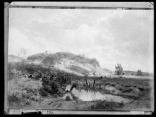 Landschaft mit Kühen