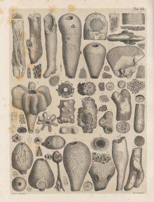Tab. 135
