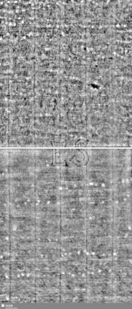 Löwe (steigend) mit Schwert / ES = S.37/38+71/72
