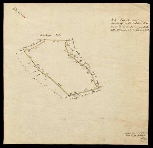 "Grundriß von dem herrschaftlichen Wald Verlohre Hau". (Brouillon zu N 70 Nr. 432).