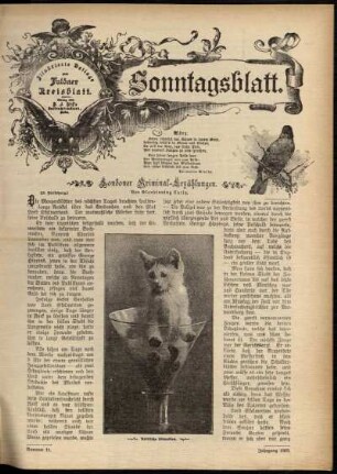 Ausgabe vom Sonntag, den 15. März 1903.