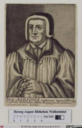 Bildnis Johann Agricola (eig. Schnitter) (genannt "Magister Islebius")