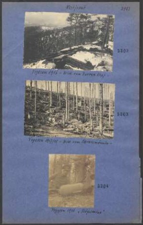 Vogesen 1917/1918 - Blick vom Schratzmännle