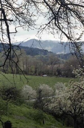 Freiburg i. Br.: Frühling an der Eichhalde