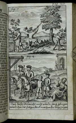 fig. 7. - fig. 8. pag. 120.