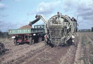 Kartoffel-Sammelroder Typ E 675/1 (DDR)