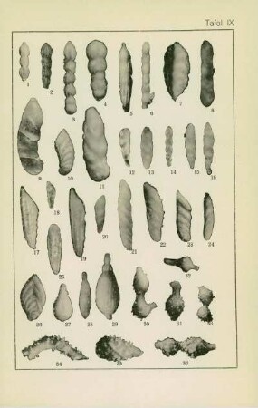 Tafel IX