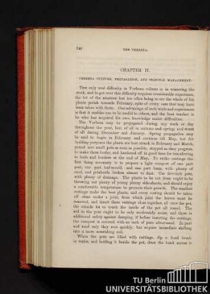 Chapter II. Verbena culture, propagation, and seasonal management.