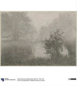Morgennebel
