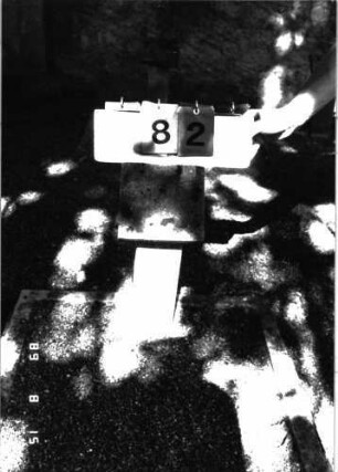 Grabstein 82 (Index: 100105575) Beschreibung: Grabeinfassung und Stellvertreter Besonderheit: Stellvertreter trägt die Nr. 12: Grabstein 82