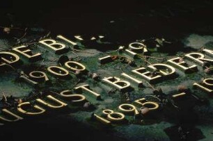 Deutschland. Baden Württemberg. Heidelberg. Bergfriedhof. Grabstein mit Inschrift