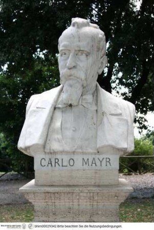 Büste des Carlo Mayr