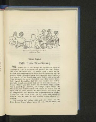 Achtes Kapitel. Erste Urwaldwanderung.