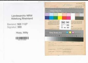 Entnazifizierung Willy Hoss , geb. 11.10.1898 (Buecherrevisor)