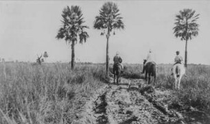 Reiter : Drei Reiter in der Steppe Argentiniens