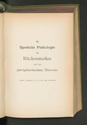 V. Spezielle Pathologie des Rückenmarkes und der peripherischen Nerven.