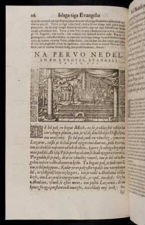 116-134, Na pervo nedellopo S. Troyzi, evangelium Luc. XVI. - Na drugo nedello po Sveti Troyzi, evangelion Luc. na XIIII. cap.