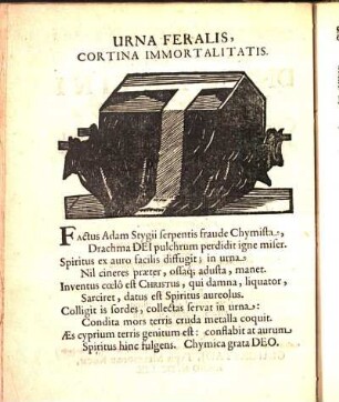Urna Feralis, Cortina Immortalitatis.