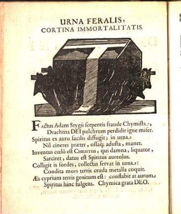 Urna Feralis, Cortina Immortalitatis.