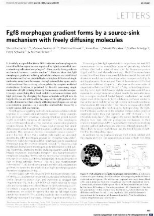 Fgf8 morphogen gradient forms by a source-sink mechanism with freely diffusing molecules