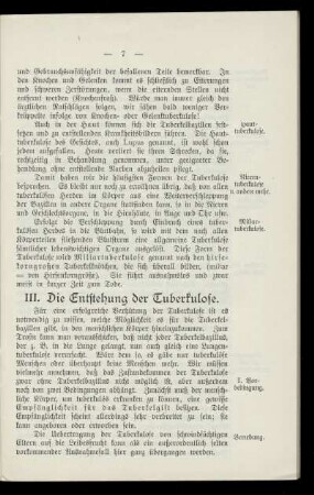III. Die Entstehung von Tuberkulose.