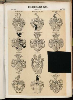 Taf. 314. Miaskowski. - Michaelis, 1786. 1808. - Michaelis, 1787. - Michaelis, 1808. - Michalkowski. - Michalowski. - Michalski. - Michels; [...]. - Milecki. - Mielinski. - Mienta