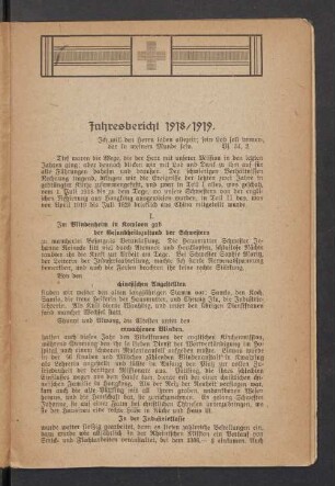 Jahresbericht 1918/1919