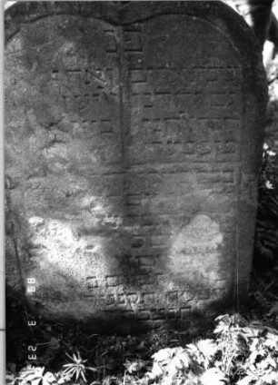 Grabstein 217 (Index: 99791547) Material: Sandstein Zustand: stark verwittert mit großem Textverlust Maße HxBxT: 69x51x13 cm Beschreibung: Doppelstele, Schriftfeld eingetieft Besonderheit: Doppelgrab für Brüder: Grabstein 217 ( Detailaufnahme)