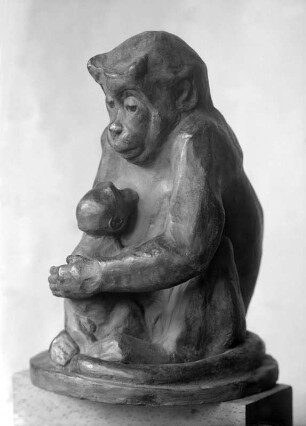 Schützend (Affenmutter)