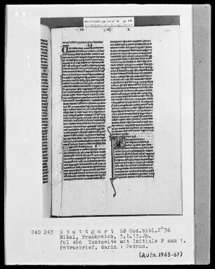 Bibel — Initiale P (etrus), darin der Apostel Petrus, Folio 466recto